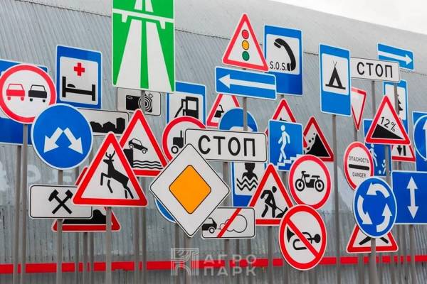 Правила и безопасность дорожного движения. Ответственность за нарушения в области дорожного движения