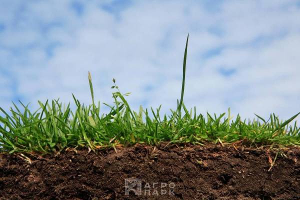 Основные приемы повышения плодородия почвы