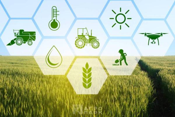Экономическое обоснование предлагаемых агротехнических и технологических мероприятий в растениеводстве: поиск новых решений и выгод