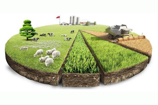 Основные вопросы, касающиеся открытия крестьянских фермерских хозяйств в Республике Беларусь