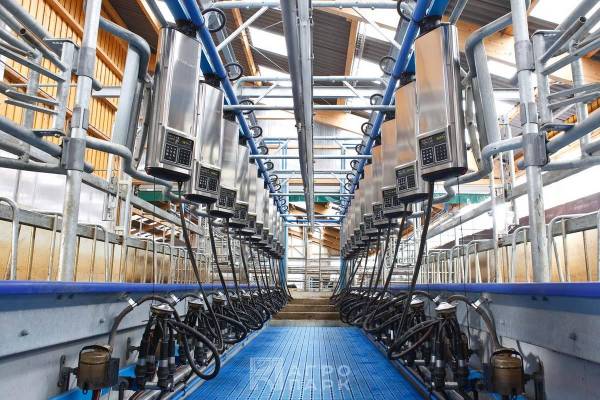 Автоматизация технологических процессов молочно-товарной фермы