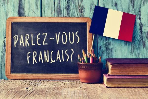 Подготовка к централизованному тестированию по иностранному языку (французский)