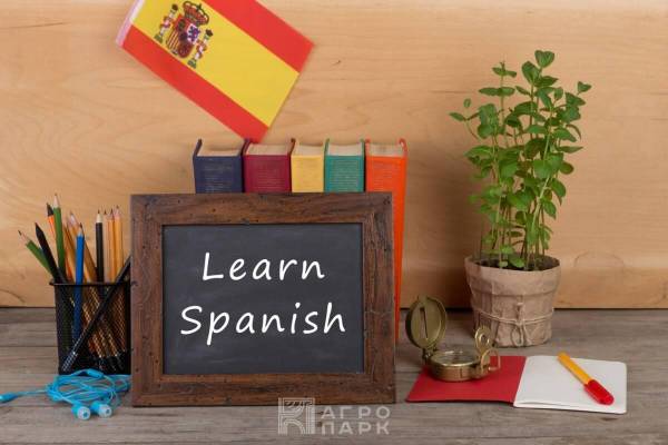 Современный испанский язык (уровень A1 – начальный уровень)